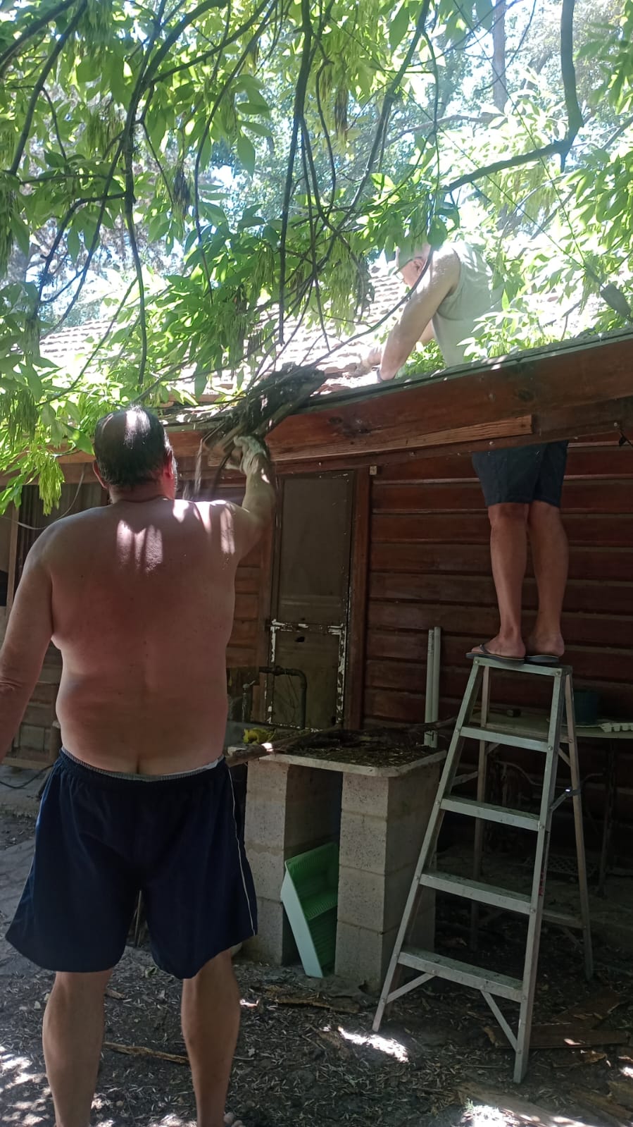 WhatsApp Image 2024-11-23 at 12.42.05.jpeg